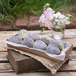 叙事冒险游戏《永夜：雪降》上架Steam 支持简体中文